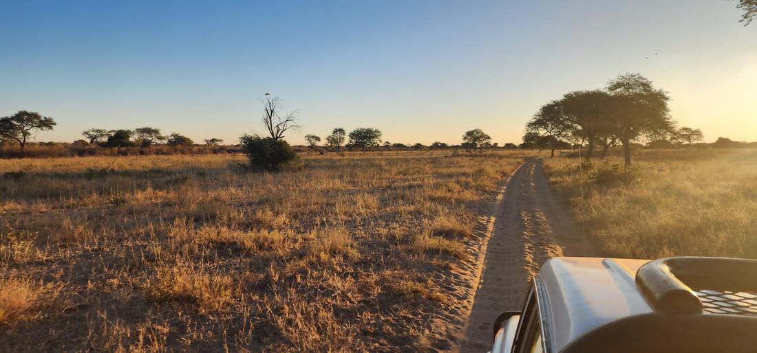 Namibia two spoor road in grass field