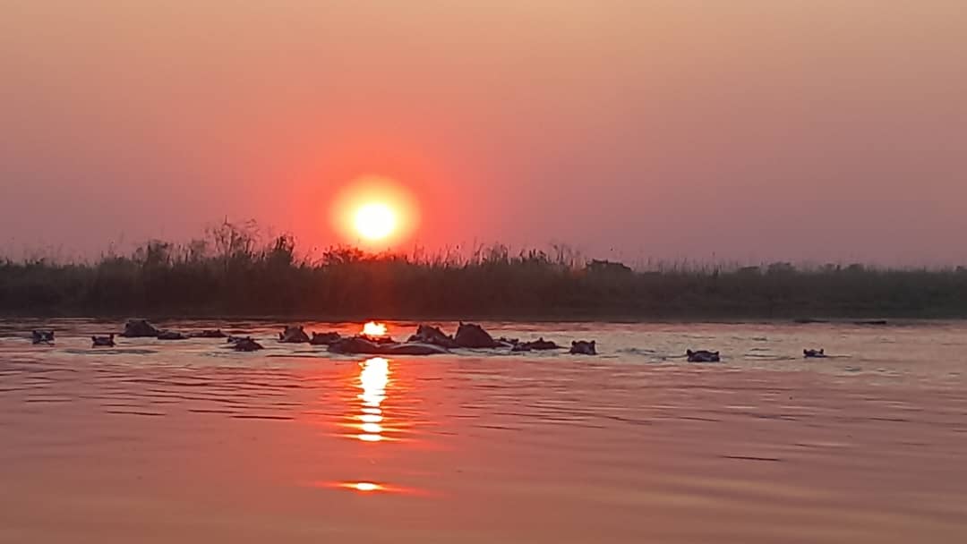 Sunset on the Okavango River